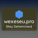 wexeseu.pro