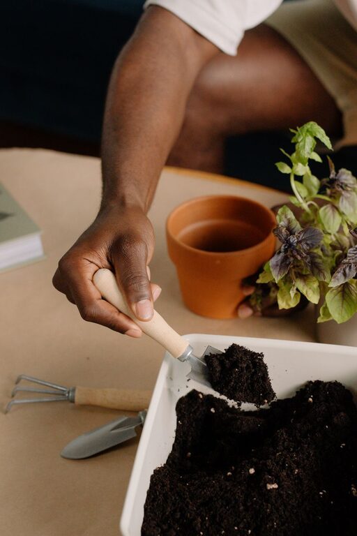 How to Start a Small Herb Garden Indoors: A Simple Guide